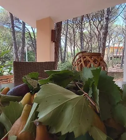 I Ginepri Di Egate - Relax E Privacy Nyaraló